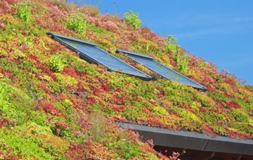 Sunnyhurst living roof systems